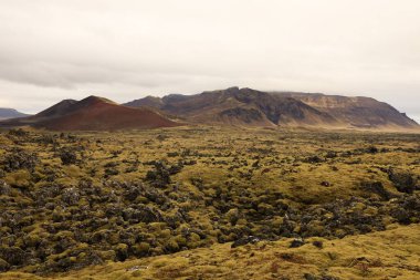 Berserkjahraun İzlanda 'da 4000 yıllık bir lav tarlası. Snfellsnes yarımadasında yer almaktadır. 
