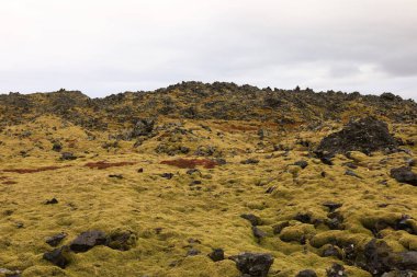 Djupalonssandur, Saefellsnes 'de, muhteşem kaya oluşumlarıyla ünlü Snaefellsjokull buzulunun eteğindeki siyah bir kumsaldır.