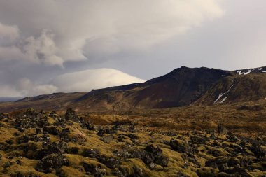 Snaefellsjokull Ulusal Parkı, İzlanda 'nın Snaefellsbaer belediyesine bağlı ulusal park.