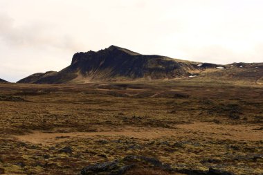 Snaefellsjokull Ulusal Parkı, İzlanda 'nın Snaefellsbr belediyesine bağlı ulusal park.