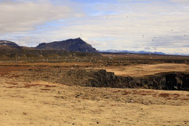 Snaefellsjokull Ulusal Parkı, İzlanda 'nın Snaefellsbr belediyesine bağlı ulusal park.