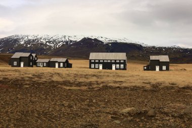 Snaefellsjokull Ulusal Parkı, İzlanda 'nın Snaefellsbaer belediyesine bağlı ulusal park.