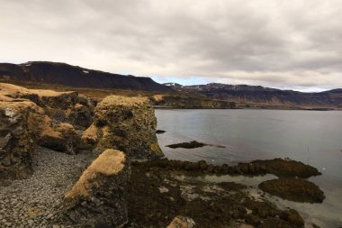 İzlanda 'nın batısındaki Arnarstapi kıyılarının manzarası