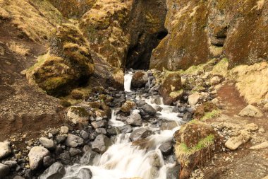 Snaefellsjokull Ulusal Parkı, İzlanda 'nın Snaefellsbaer belediyesine bağlı ulusal park.