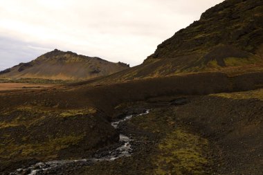 Snaefellsjokull Ulusal Parkı, İzlanda 'nın Snaefellsbaer belediyesine bağlı ulusal park.
