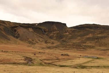 Snaefellsjokull Ulusal Parkı, İzlanda 'nın Snaefellsbaer belediyesine bağlı ulusal park.