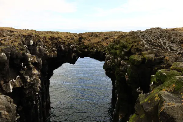 stock image Gatklettur is a famous, naturally formed stone arch found between the villages of Arnarstapi and Hellnar on the Snaefellsnes Peninsula.