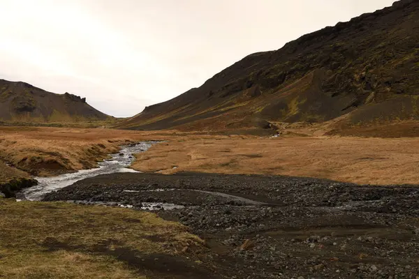 Snaefellsjokull Ulusal Parkı, İzlanda 'nın Snaefellsbaer belediyesine bağlı ulusal park.