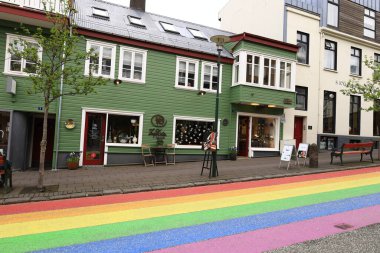Reykjavik İzlanda 'nın başkenti ve en büyük şehridir. İzlanda 'nın güneybatısında, Faxafloi Körfezi' nin güney kıyısında yer alır..