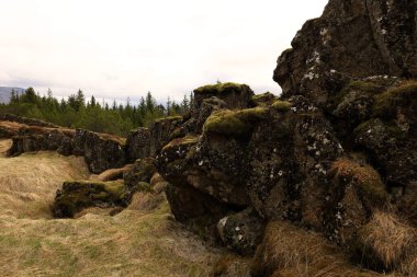 Thingvellir İzlanda 'nın güneybatısında, Reykjavik' in 50 km doğusunda tarihi bir yer ve ulusal park.