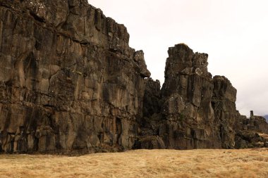Thingvellir İzlanda 'nın güneybatısında, Reykjavik' in 50 km doğusunda tarihi bir yer ve ulusal park.
