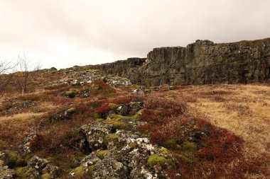 Thingvellir İzlanda 'nın güneybatısında, Reykjavik' in 50 km doğusunda tarihi bir yer ve ulusal park.