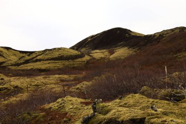 Grabrok krateri (Grabrokargigar), 1962 yılından beri İzlanda 'nın batısındaki Borgarfjor bölgesinde korunan doğal bir bölgedir..