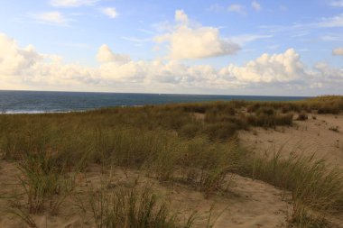 Cap-Ferret plajını seyret.