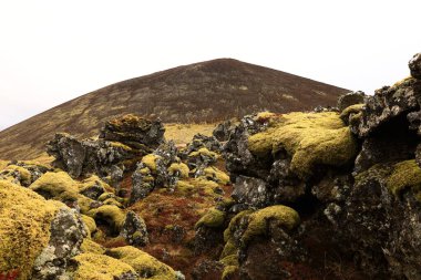 Snaefellsjokull Ulusal Parkı, İzlanda 'nın Snaefellsbaer belediyesine bağlı ulusal park.