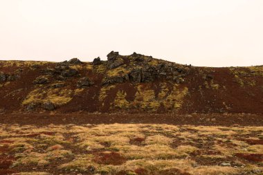 Snaefellsjokull Ulusal Parkı, İzlanda 'nın Snaefellsbaer belediyesine bağlı ulusal park.