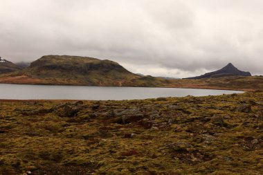 Snaefellsjokull Ulusal Parkı, İzlanda 'nın Snaefellsbaer belediyesine bağlı ulusal park.