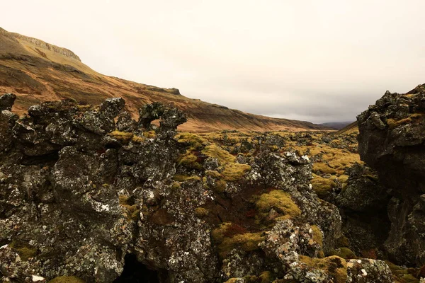 Snaefellsjokull Ulusal Parkı, İzlanda 'nın Snaefellsbaer belediyesine bağlı ulusal park.