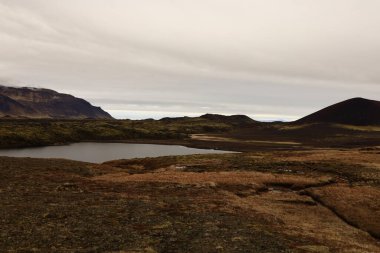 Snaefellsjokull Ulusal Parkı, İzlanda 'nın Snaefellsbaer belediyesine bağlı ulusal park.
