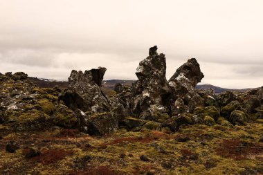 Snaefellsjokull Ulusal Parkı, İzlanda 'nın Snaefellsbaer belediyesine bağlı ulusal park.