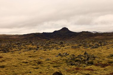 Snaefellsjokull Ulusal Parkı, İzlanda 'nın Snaefellsbaer belediyesine bağlı ulusal park.