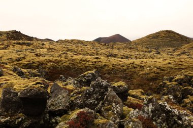 Snaefellsjokull Ulusal Parkı, İzlanda 'nın Snaefellsbaer belediyesine bağlı ulusal park.