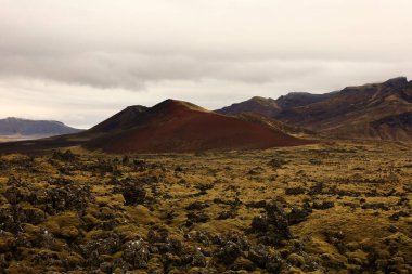 Snaefellsjokull Ulusal Parkı, İzlanda 'nın Snaefellsbaer belediyesine bağlı ulusal park.