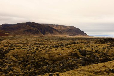 Snaefellsjokull Ulusal Parkı, İzlanda 'nın Snaefellsbaer belediyesine bağlı ulusal park.