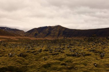 Snaefellsjokull Ulusal Parkı, İzlanda 'nın Snaefellsbaer belediyesine bağlı ulusal park.