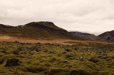 Snaefellsjokull Ulusal Parkı, İzlanda 'nın Snaefellsbaer belediyesine bağlı ulusal park.