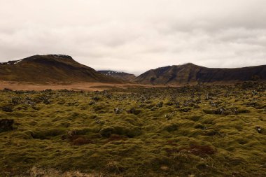 Snaefellsjokull Ulusal Parkı, İzlanda 'nın Snaefellsbaer belediyesine bağlı ulusal park.