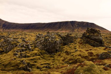 Snaefellsjokull Ulusal Parkı, İzlanda 'nın Snaefellsbaer belediyesine bağlı ulusal park.