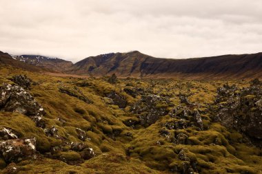 Snaefellsjokull Ulusal Parkı, İzlanda 'nın Snaefellsbaer belediyesine bağlı ulusal park.