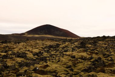 Snaefellsjokull Ulusal Parkı, İzlanda 'nın Snaefellsbaer belediyesine bağlı ulusal park.