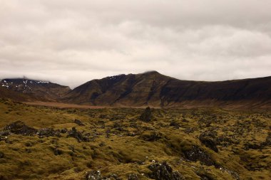 Snaefellsjokull Ulusal Parkı, İzlanda 'nın Snaefellsbaer belediyesine bağlı ulusal park.