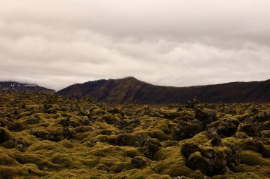 Snaefellsjokull Ulusal Parkı, İzlanda 'nın Snaefellsbaer belediyesine bağlı ulusal park.