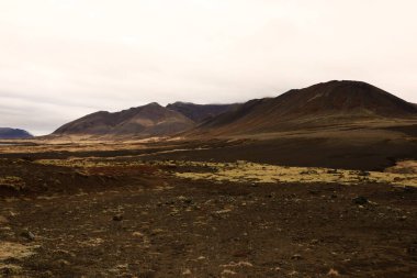 Snaefellsjokull Ulusal Parkı, İzlanda 'nın Snaefellsbaer belediyesine bağlı ulusal park.