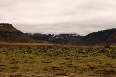 Snaefellsjokull Ulusal Parkı, İzlanda 'nın Snaefellsbaer belediyesine bağlı ulusal park.