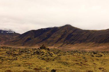 Snaefellsjokull Ulusal Parkı, İzlanda 'nın Snaefellsbaer belediyesine bağlı ulusal park.