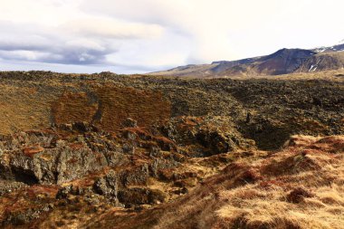 Snaefellsjokull Ulusal Parkı, İzlanda 'nın Snaefellsbr belediyesine bağlı ulusal park.