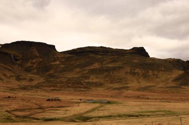 Snaefellsjokull Ulusal Parkı, İzlanda 'nın Snaefellsbaer belediyesine bağlı ulusal park.