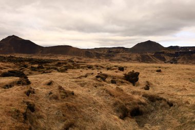 Snaefellsjokull Ulusal Parkı, İzlanda 'nın Snaefellsbaer belediyesine bağlı ulusal park.