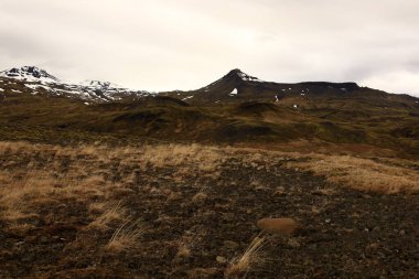 Snaefellsjokull Ulusal Parkı, İzlanda 'nın Snaefellsbaer belediyesine bağlı ulusal park.