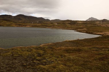 Snaefellsjokull Ulusal Parkı, İzlanda 'nın Snaefellsbaer belediyesine bağlı ulusal park.