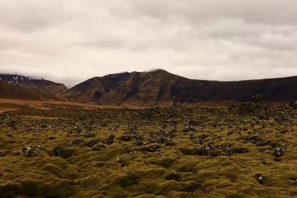 Snaefellsjokull Ulusal Parkı, İzlanda 'nın Snaefellsbaer belediyesine bağlı ulusal park.