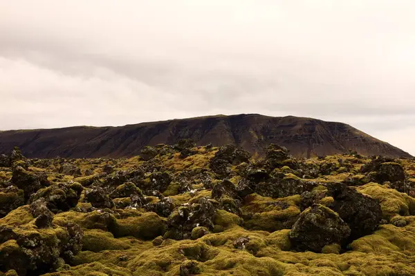 Snaefellsjokull Ulusal Parkı, İzlanda 'nın Snaefellsbaer belediyesine bağlı ulusal park.