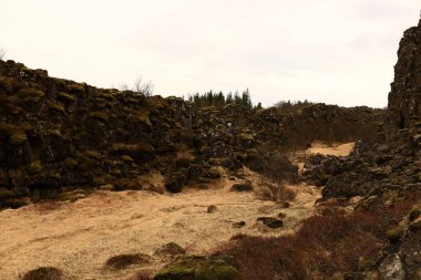 Thingvellir İzlanda 'nın güneybatısında, Reykjavik' in 50 km doğusunda tarihi bir yer ve ulusal park.