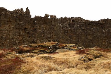 Thingvellir İzlanda 'nın güneybatısında, Reykjavik' in 50 km doğusunda tarihi bir yer ve ulusal park.