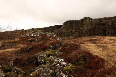 Thingvellir, İzlanda 'nın güneybatısında, başkenti Reykjavik' ten çok uzak olmayan tarihi bir yer ve ulusal park..