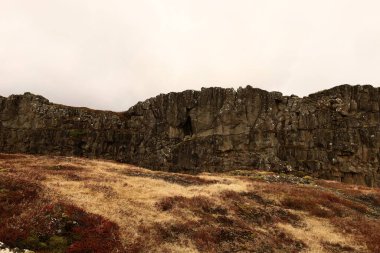 Thingvellir, İzlanda 'nın güneybatısında, başkenti Reykjavik' ten çok uzak olmayan tarihi bir yer ve ulusal park..